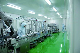 杭州雅琪 精英團隊，共創圖文設計之美